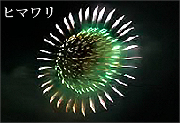 ヒマワリ