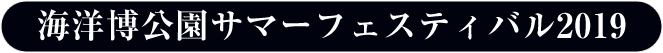 第41回海洋博公園 花火大会 | サマーフェスティバル2019