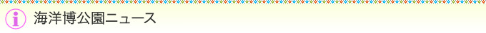 海洋博公園ニュース