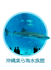 沖縄美ら海水族館