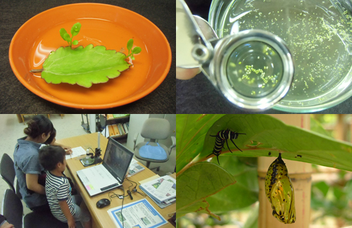 夏休み自由研究サポート展