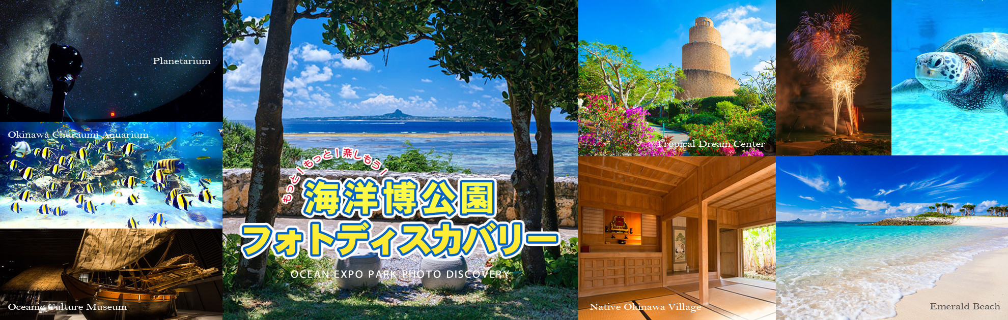 もっと！もっと！海洋博公園を楽しもう！！海洋博公園フォトディスカバリー