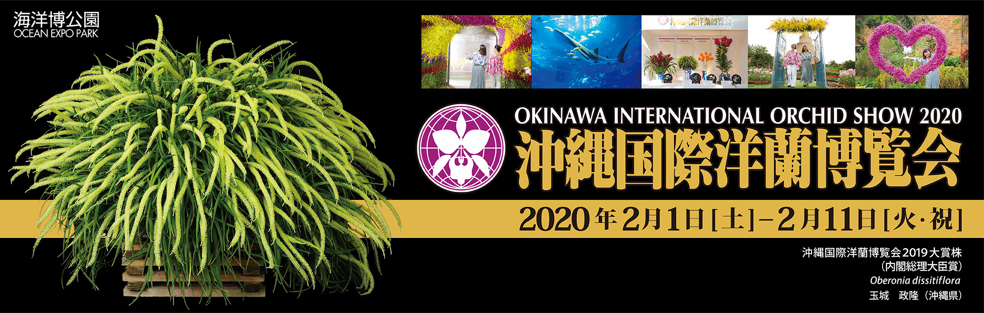 沖縄国際洋蘭博覧会2020