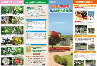 下载热带・亚热带都市绿化植物园手册