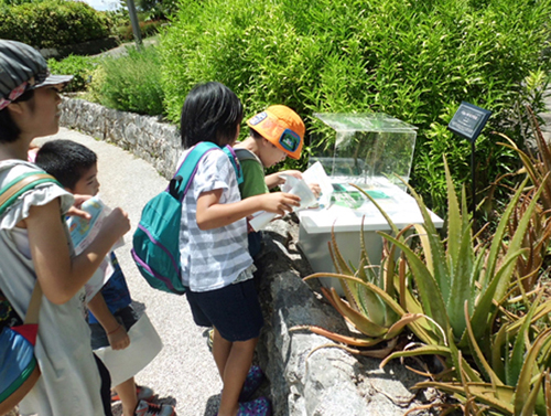 植物園で遊ぼう