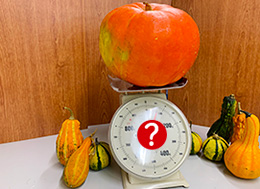 海洋博公園オータムフェスティバル