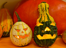 海洋博公園オータムフェスティバル