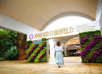 期間中は熱帯ドリームセンターが洋蘭博覧会色に染まります。