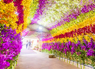 生花のランでできたトンネルどこから見てもお花でいっぱい！写真映えばっちりです。