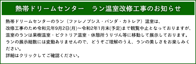 熱帯ドリームセンター　ラン温室改修工事のお知らせ