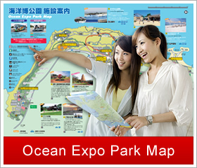 Ocean Expo Park Map