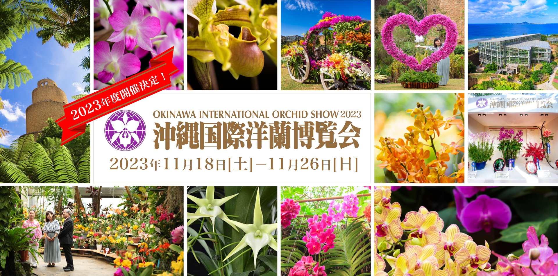 沖繩國際洋蘭博覽會2023|OKINAWA INTERNATIONAL ORCHID SHOW 2023