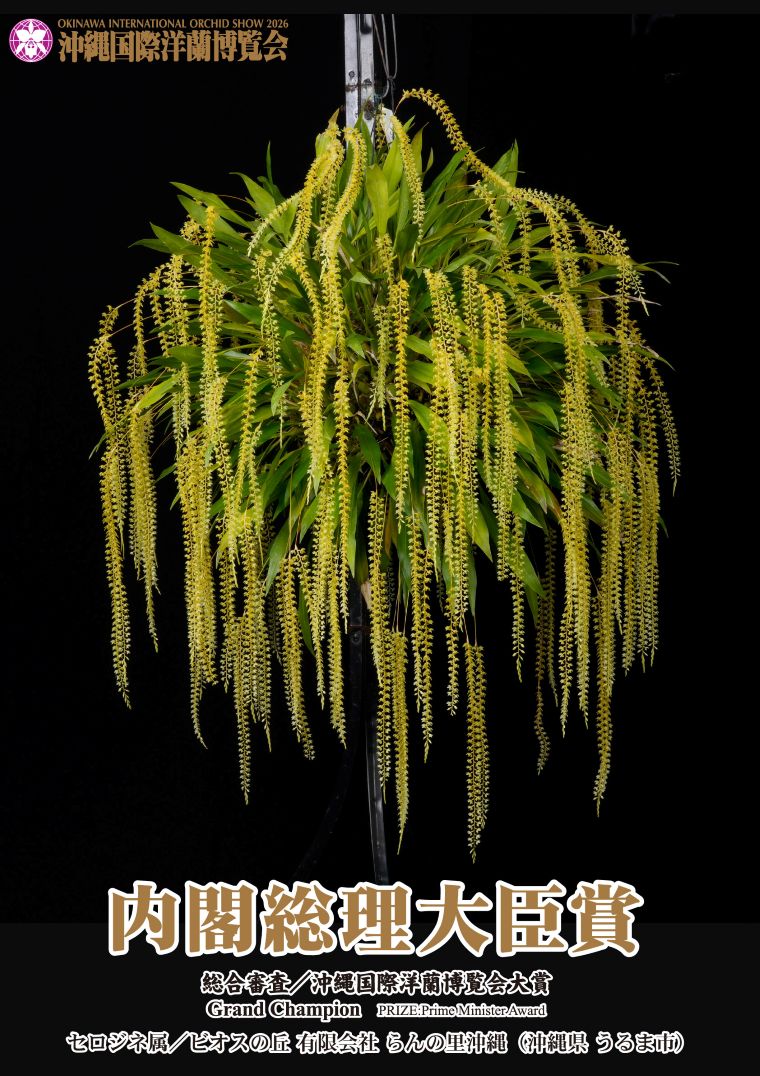 沖縄国際洋蘭博覧会大賞(内閣総理大臣賞)