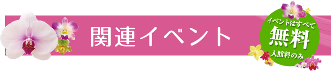 もっとランを知りたい！