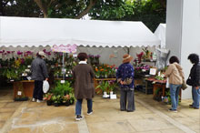 お客様の家族写真