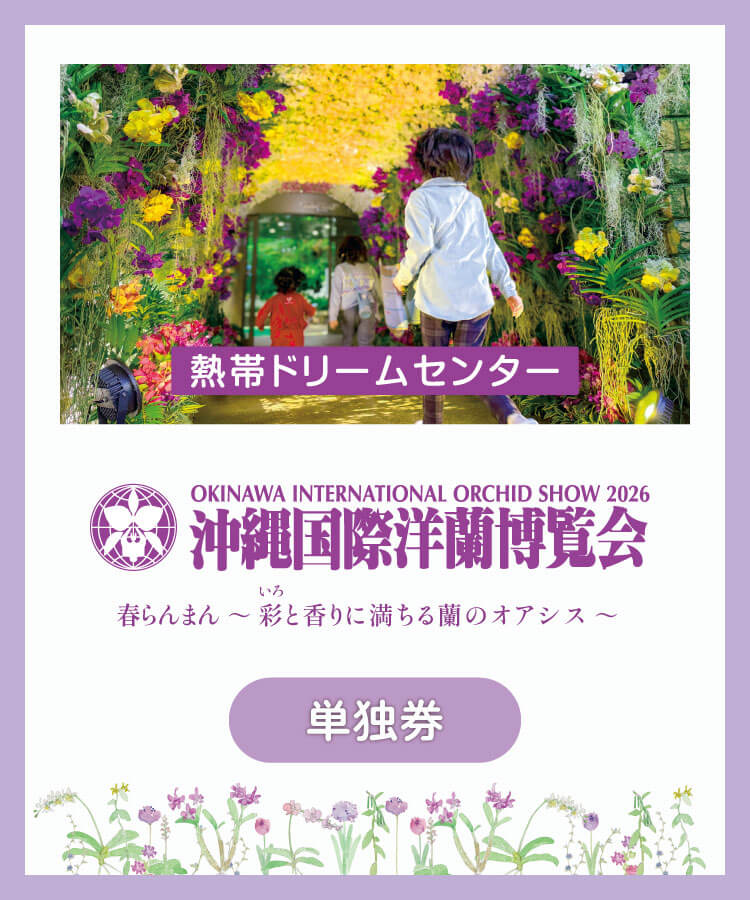 Webチケット（単券）