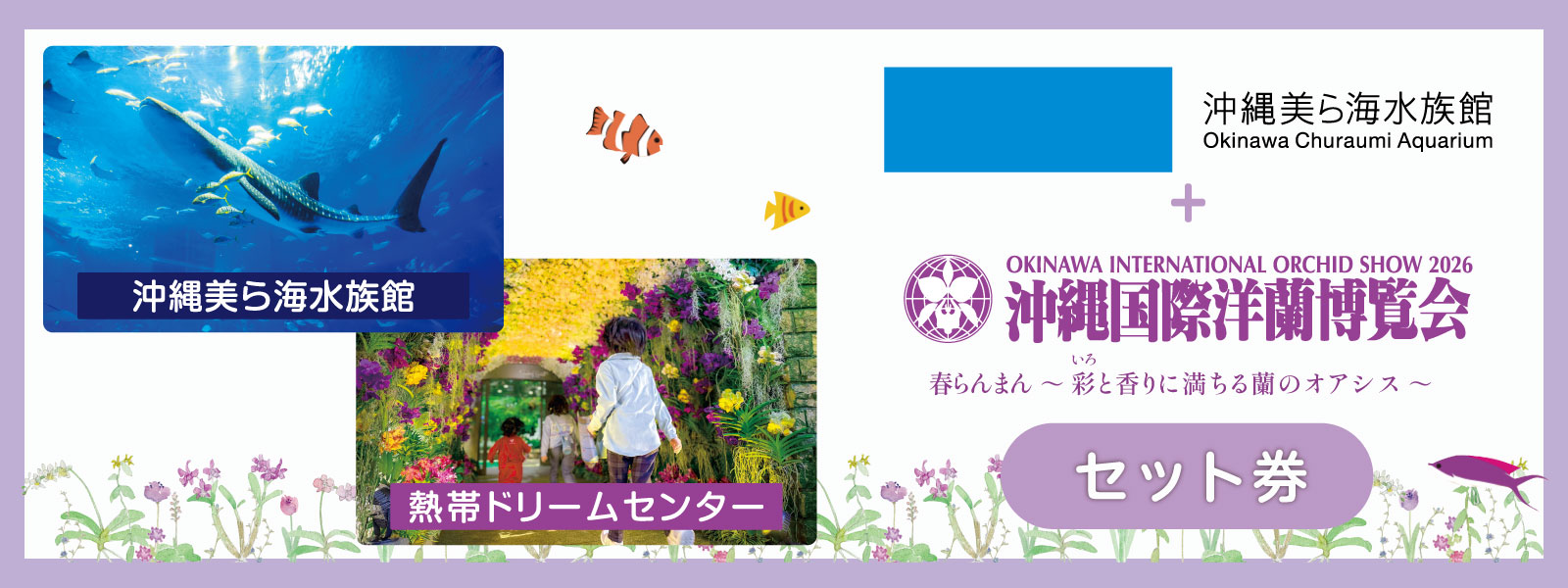 Webチケット（セット券）