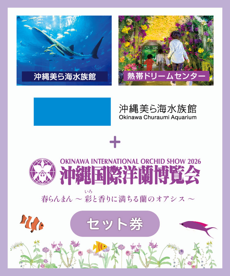 Webチケット（セット券）