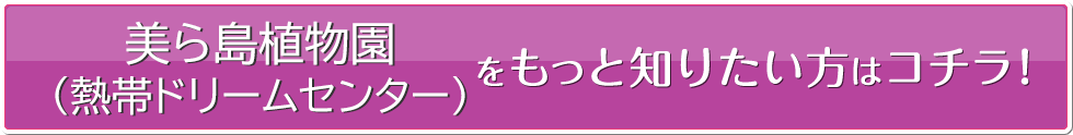 熱帯ドリームセンターをもっと知りたい方はコチラ！