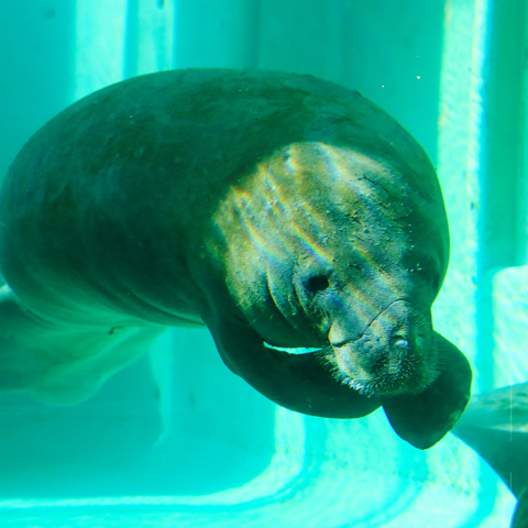 10月の海洋博公園