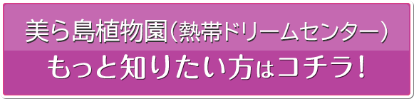 熱帯ドリームセンターをもっと知りたい方はコチラ！