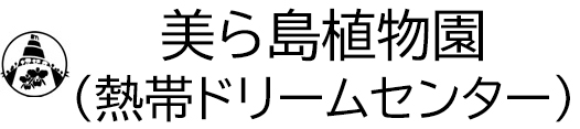 熱帯ドリームセンター