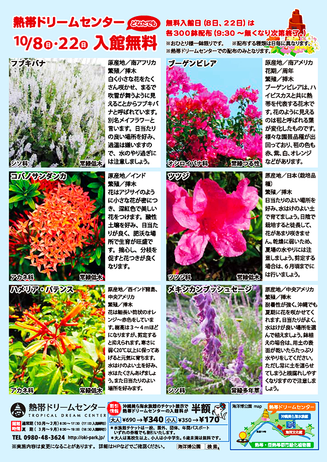 秋の苗木の無料配布 | イベント・プログラム | 海洋博公園 Official