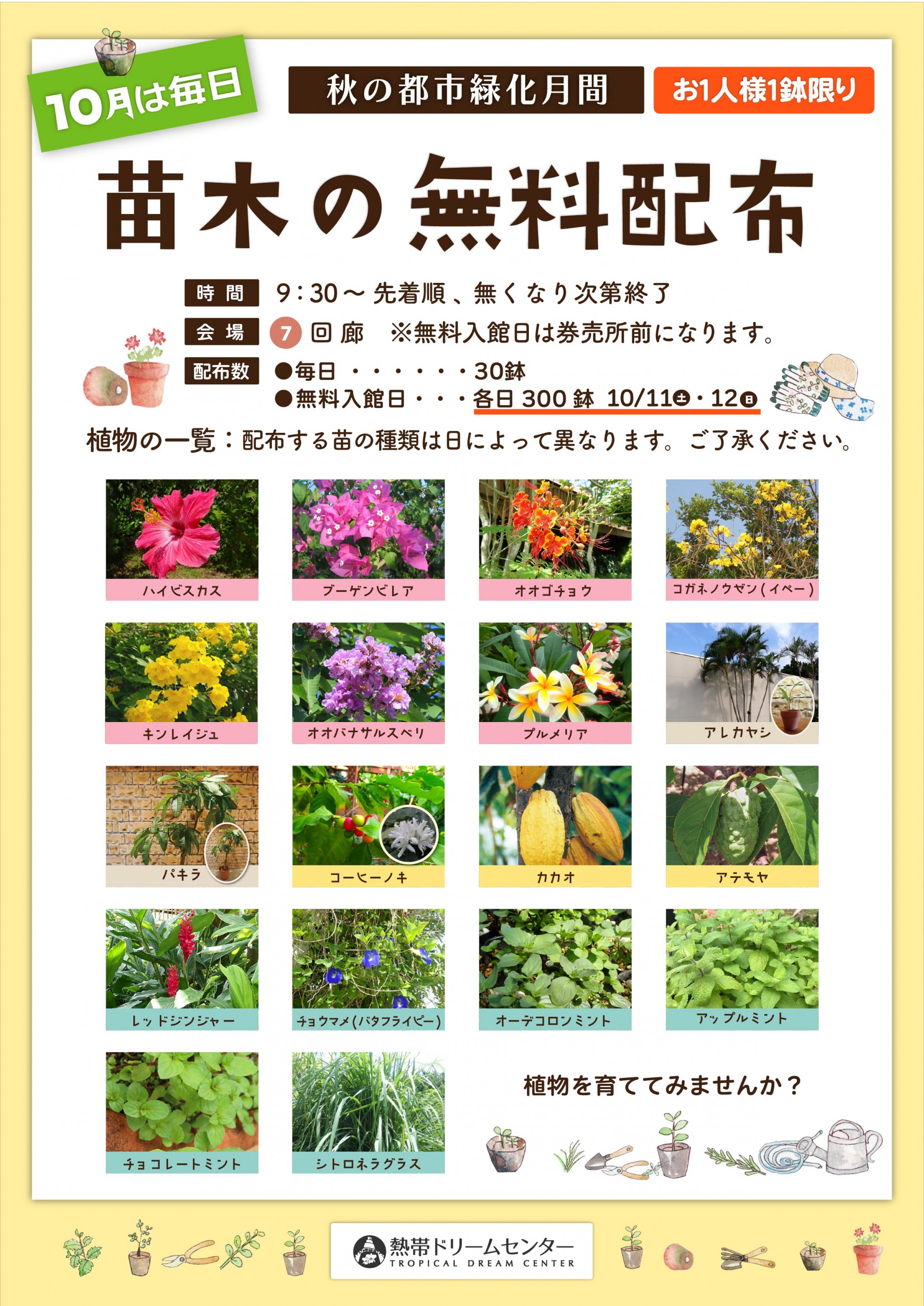 珍奇・熱帯・逸品が混ざる、緑の混沌市― 「GREEN CHAMPUROO -Vol.1