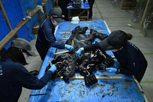 向拝奥の獅子　中塗りのメイン画像