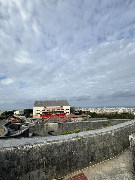 東のアザナより素屋根解体過程 