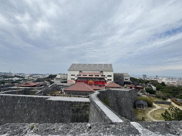 東のアザナより素屋根解体過程 