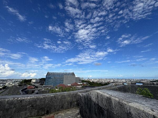 東のアザナより素屋根解体過程 