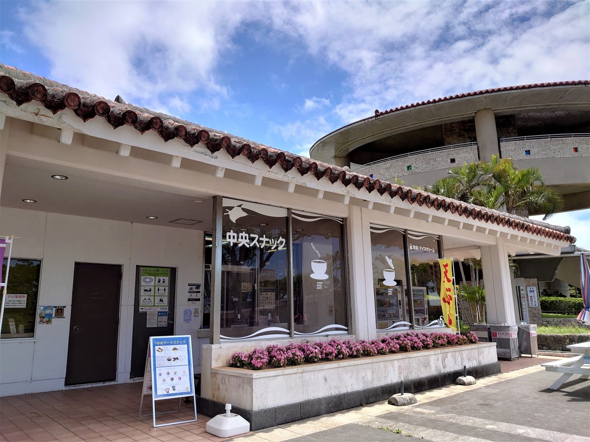 飲食店 | レストラン・ショップ | 各施設紹介 | 海洋博公園 Official