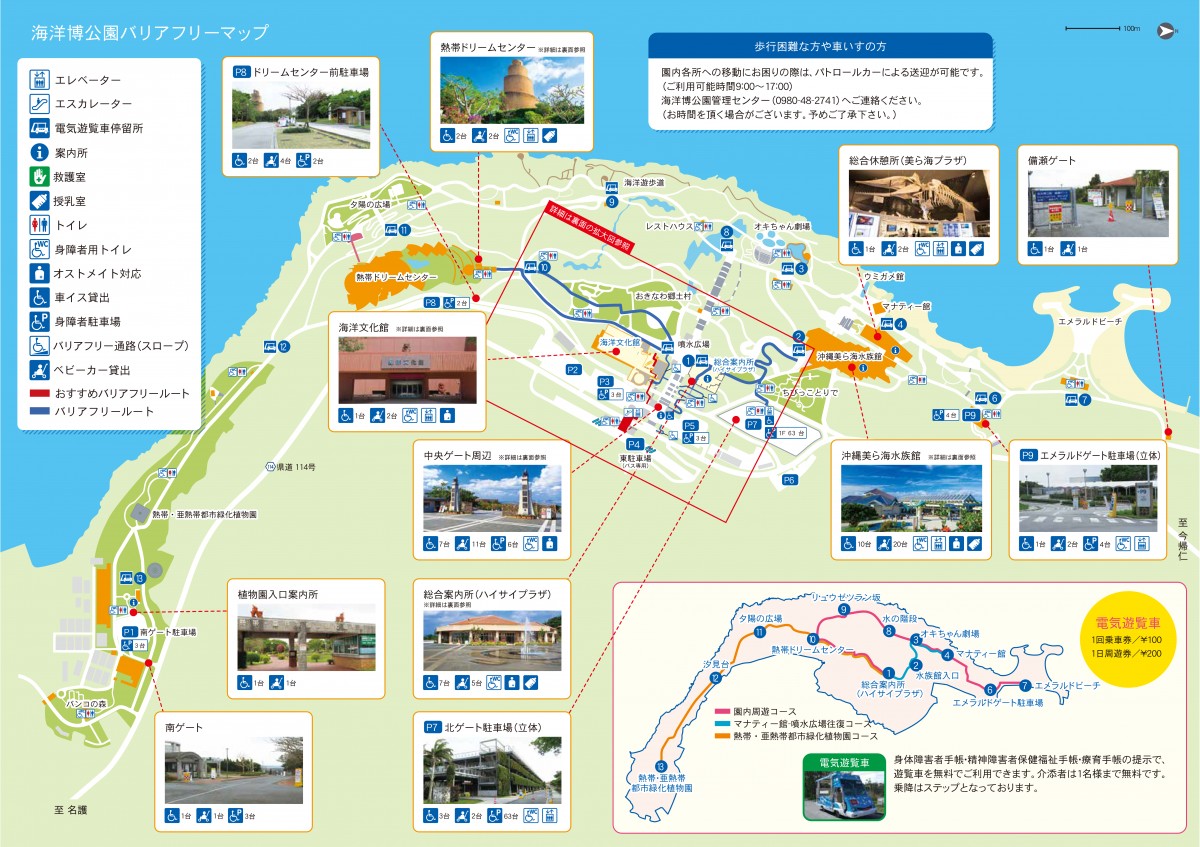 マップ パンフレットダウンロード ご利用案内 海洋博公園 Official Site