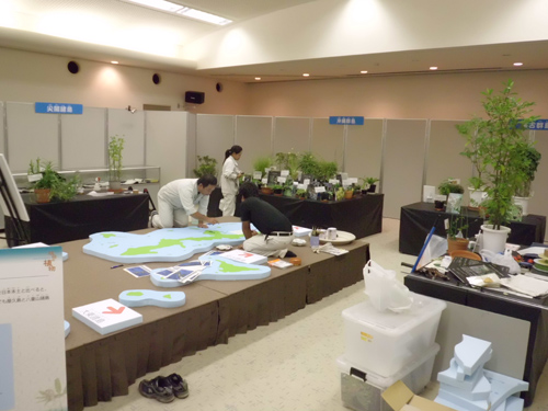 沖縄の絶滅危惧植物展