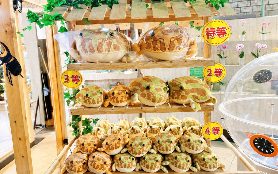 立体図鑑ボックス各種