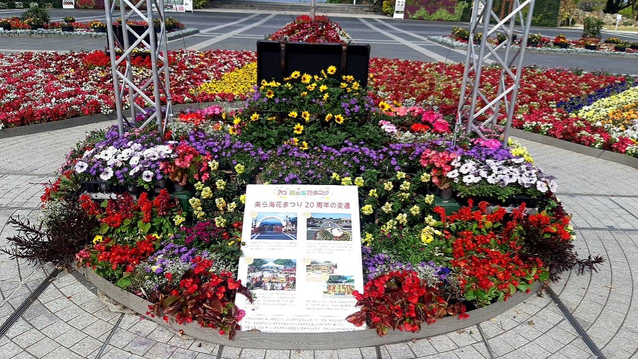 春らんまん ～花と巡る 沖縄さんぽ～　 第21回　美ら海花まつり