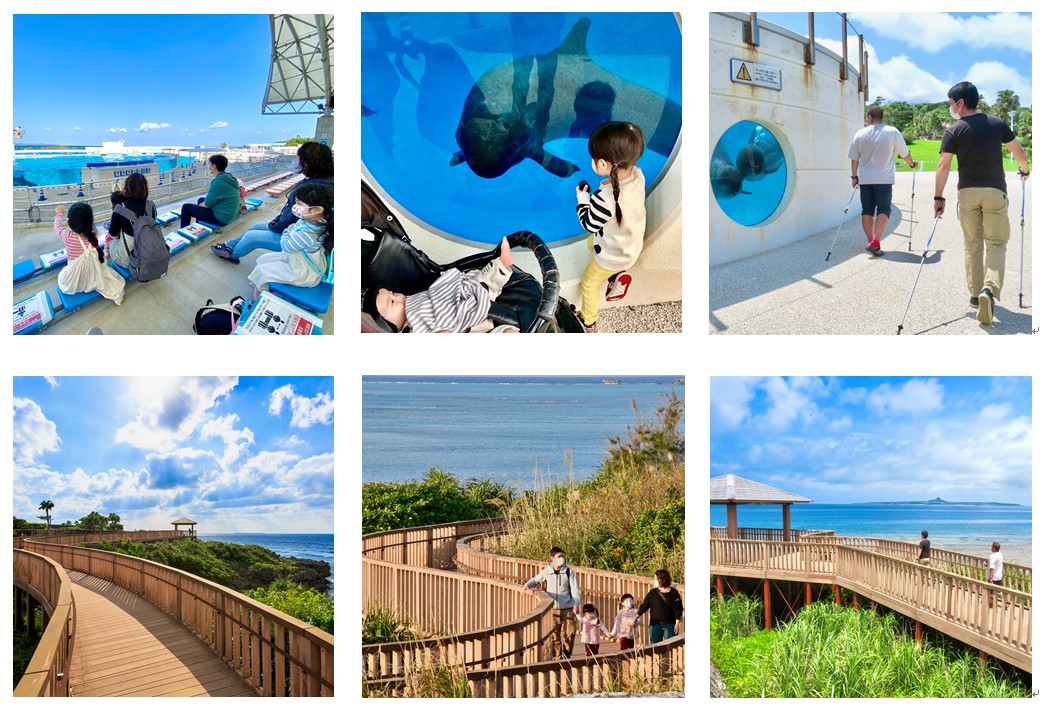 Ocean Expo Park walk recommended ♫ spot introduction | Ocean Expo