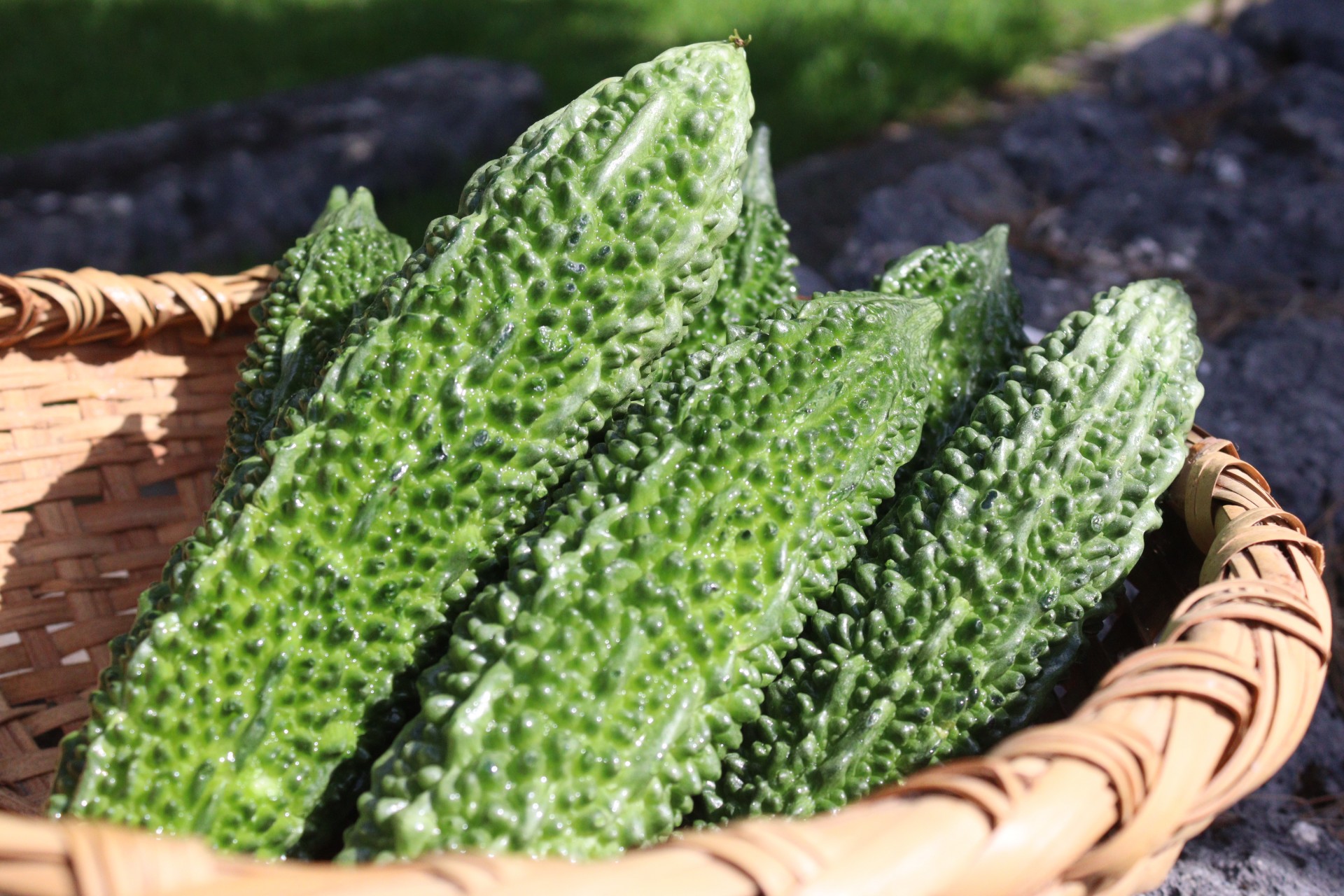 島野菜『5/8ゴーヤの日』フェア開催！（5/8～12） | 首里城 ‐ 琉球王国