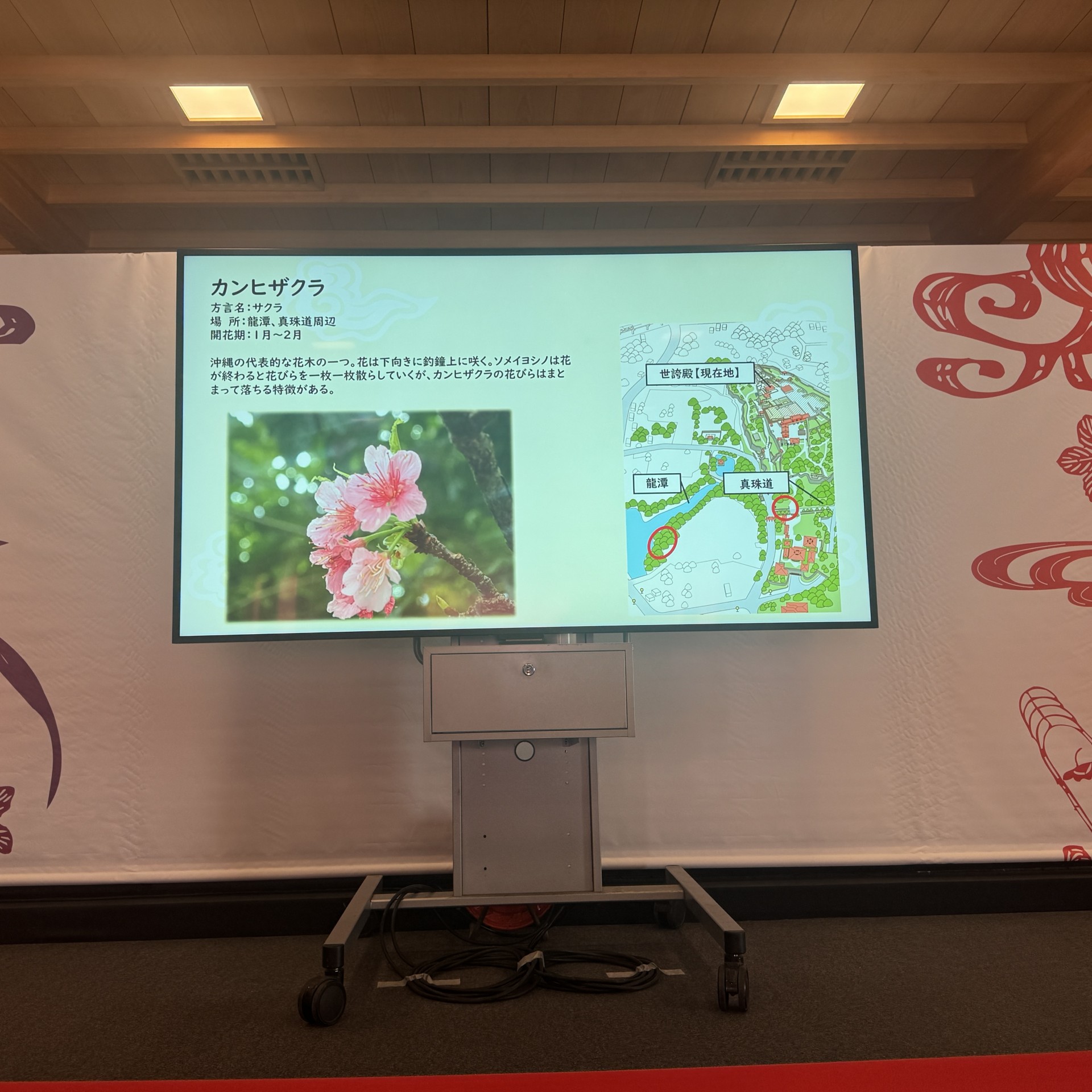 映像上映の様子