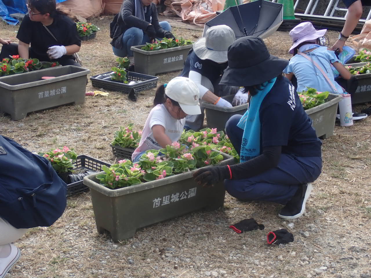 地域住民や子どもたちによる植え付け作業