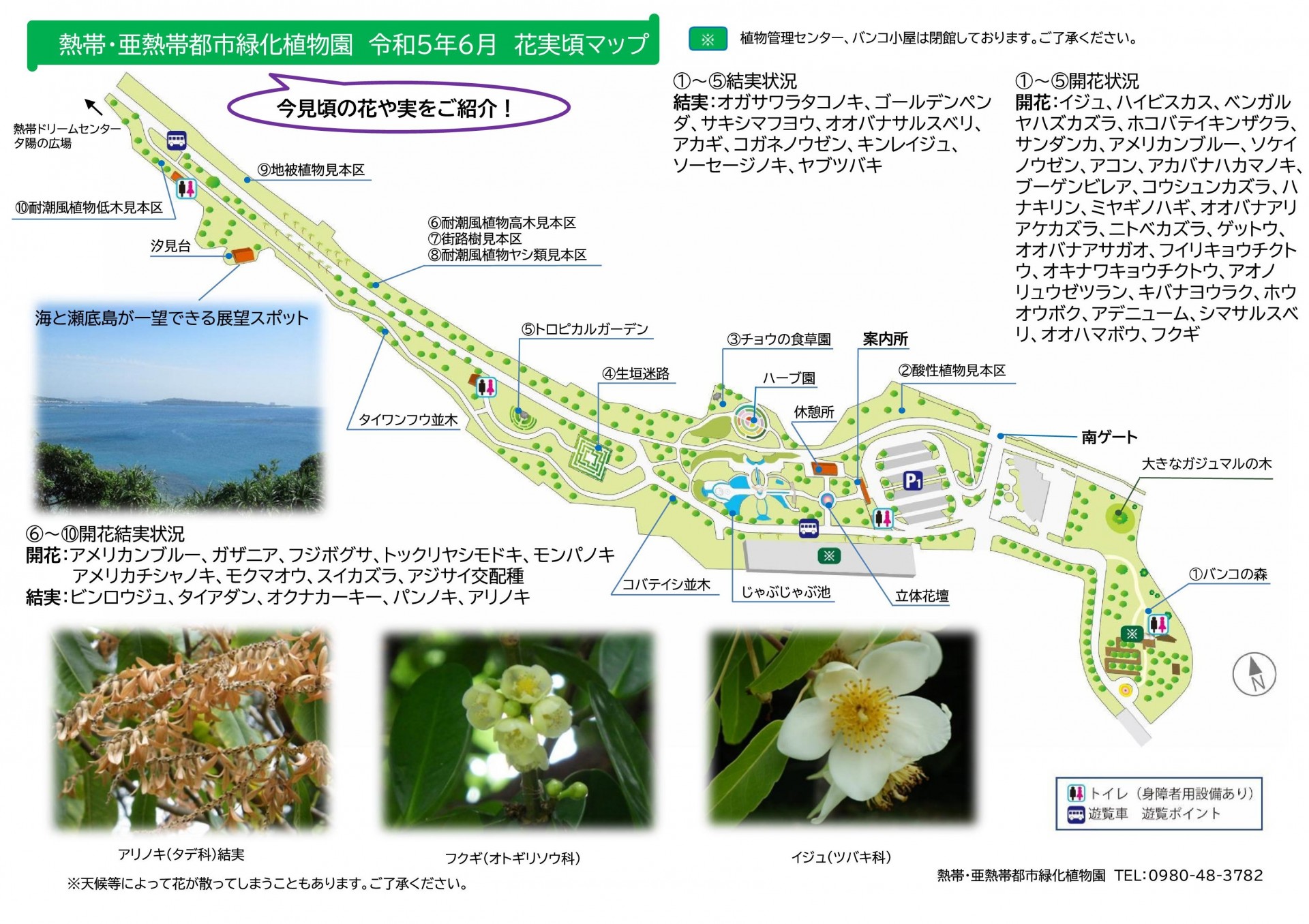 Ocean Expo Park walk recommended ♫ spot introduction | Ocean Expo