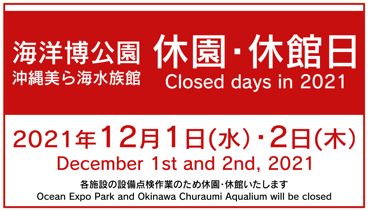 Ocean Expo Park Official Site Smartphone Version