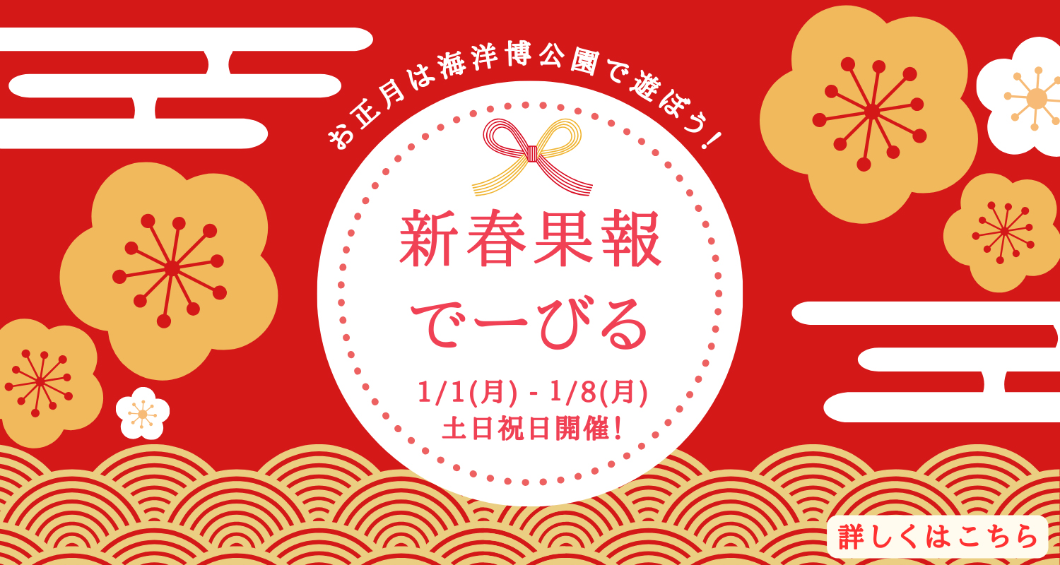 海洋博公園「新春果報でーびる」」開催