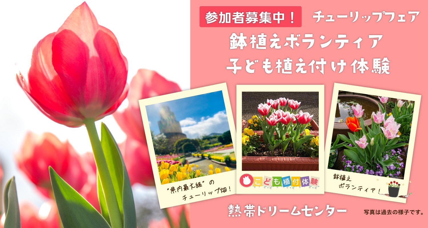 チューリップフェアおよび関連イベント情報