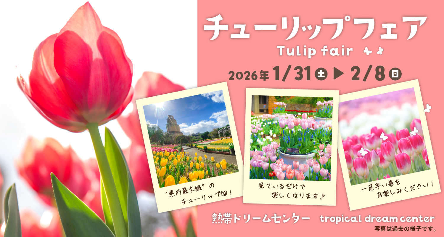 チューリップフェアおよび関連イベント情報