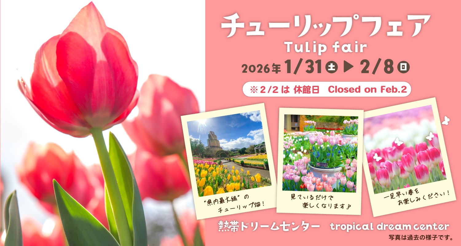 チューリップフェアおよび関連イベント情報