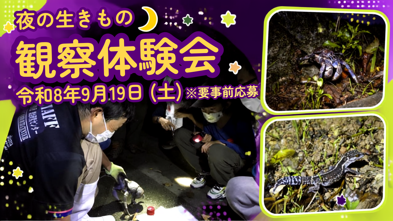 【9/19（土）】夜の生きもの観察体験会