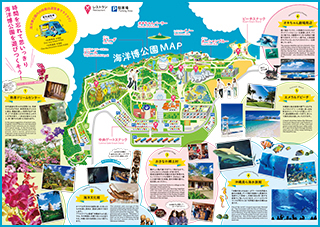 The highlight introduction pamphlet of Ocean Expo Park can be downloaded.