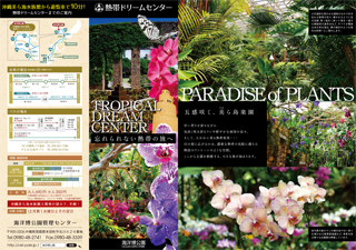 A pamphlet of the Tropical Dream Center